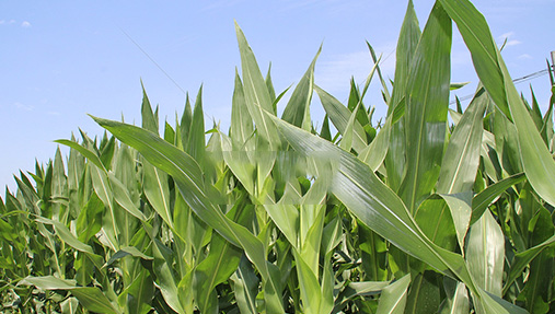 潤揚化學3.8女神節活動