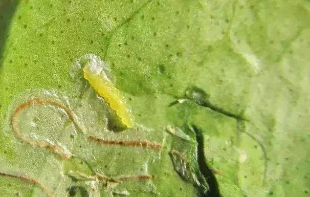 timg (6).jpg timg (6).jpg