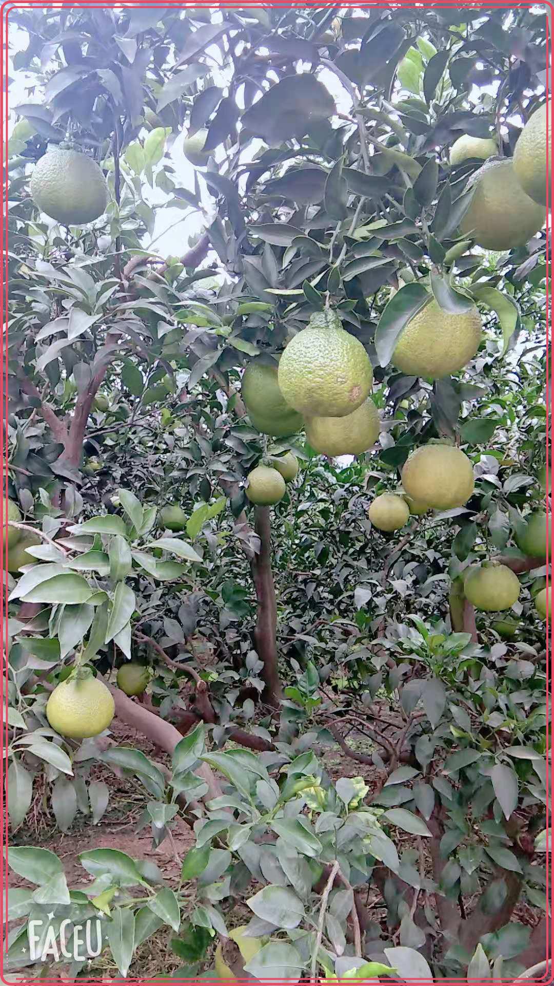 圖片8.jpg 圖片8.jpg