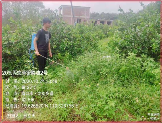 必須的.JPG 必須的.JPG