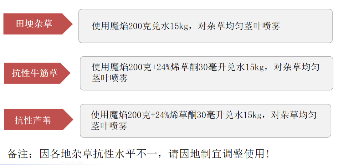 微信圖片_20210414090729.png 微信圖片_20210414090729.png