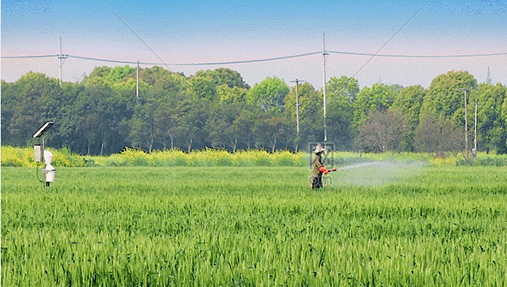 除草劑混用要注意什么？